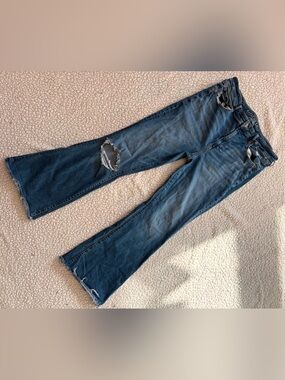 GUC American Eagle Jeans - Women’s 14 Regular